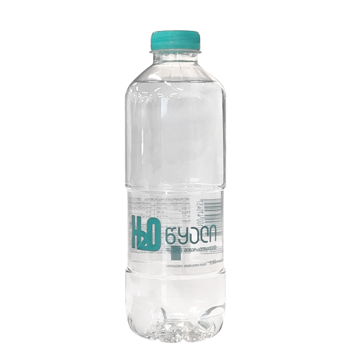 Natural mineral H2O water with low mineralization 0.5L #1