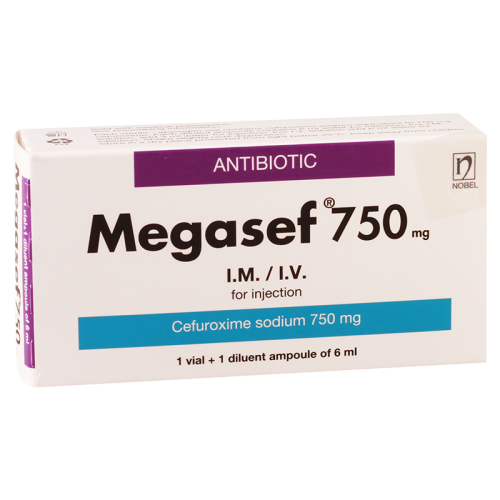 Megasef 750mg i/m i/v in vial #1