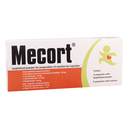 Mecort amp #3