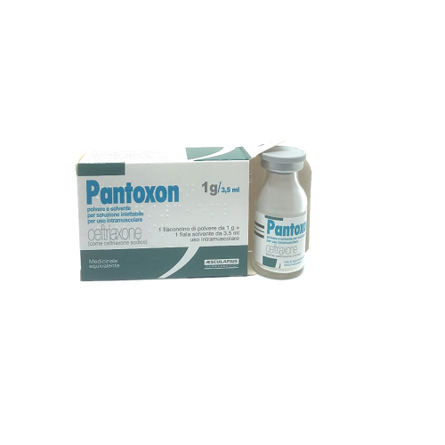 Pantoxon 1000mg in vial #1