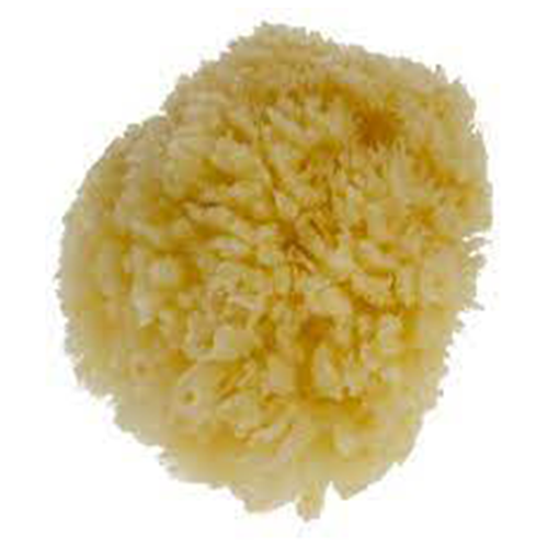 Natural sea sponge mini