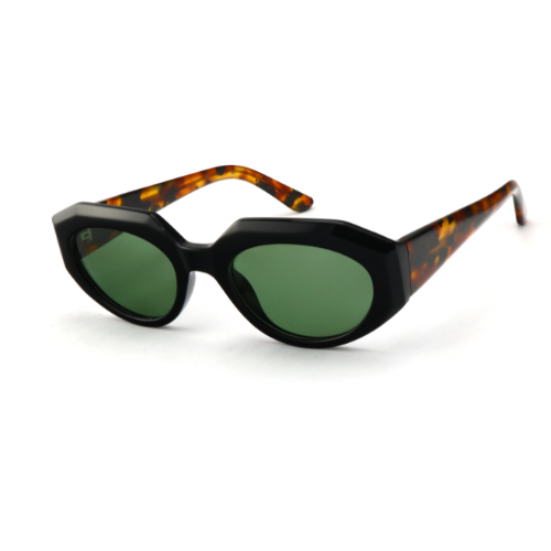 Sunglasses EP006 C1