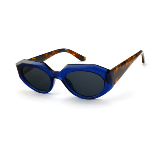 Sunglasses EP006 C2