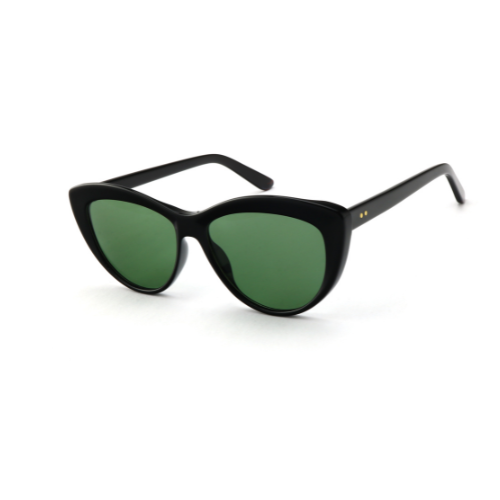 Sunglasses FG6015 C1