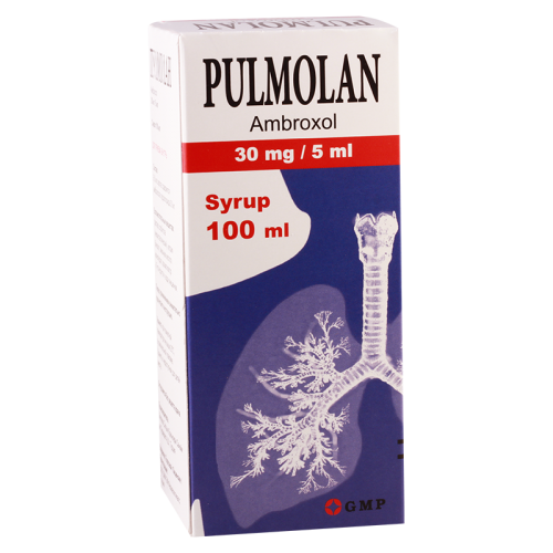 Pulmolan syrup 30mg/5ml 100ml