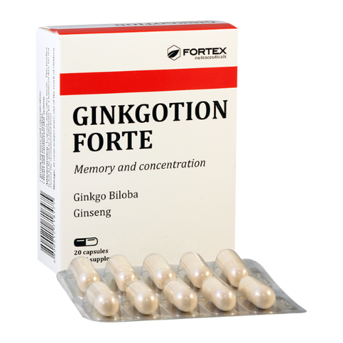 GINGKOTION forte caps 120mg #20